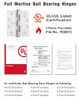 SS304 Single Action Spring Hinge-DDSS033