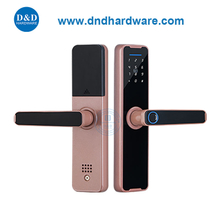 Электронный блокировка дверей без ключа Smart Finger-отпечатки Digital Door Hander Lock-DDDL005